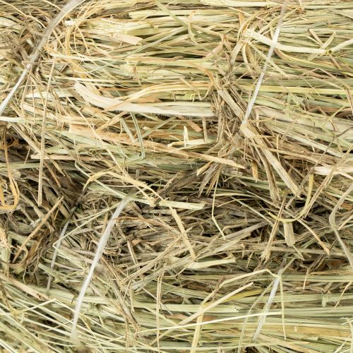 Product Hay wreaths 31-32cm 5 pcs