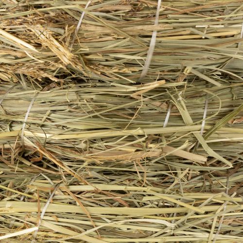 Product Hay wreaths wreath natural 26-27cm 5 pcs