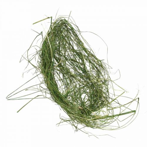 Floristik24 Cuff made of grass green ostrich cuff spring decoration Ø20cm 6pcs