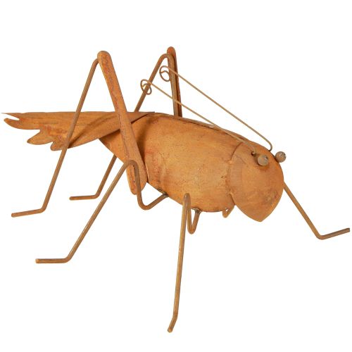 Floristik24 Grasshopper Garden Decoration Rust Metal Décor 26cm