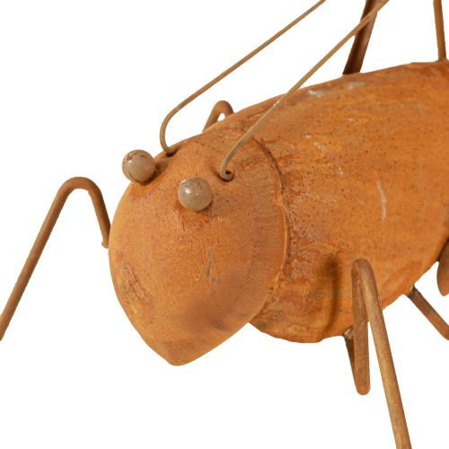 Floristik24 Grasshopper Garden Decoration Rust Metal Décor 26cm