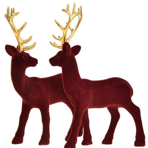 Floristik24 Deer Deco Reindeer Bordeaux Gold Calf Flocked 20cm Set of 2