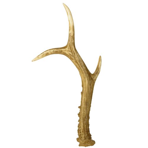 Deer antler decoration