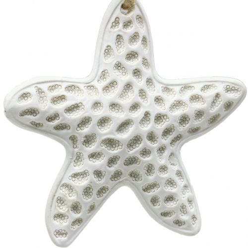 Product Decoration to hang starfish, seahorse 12cm 3pcs