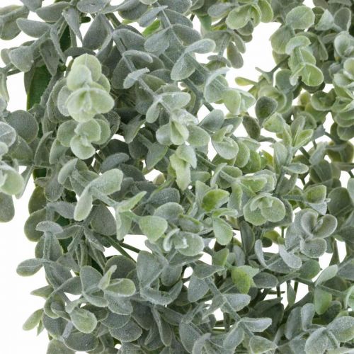 Floristik24 Wedding decoration eucalyptus wreath artificial Ø25cm