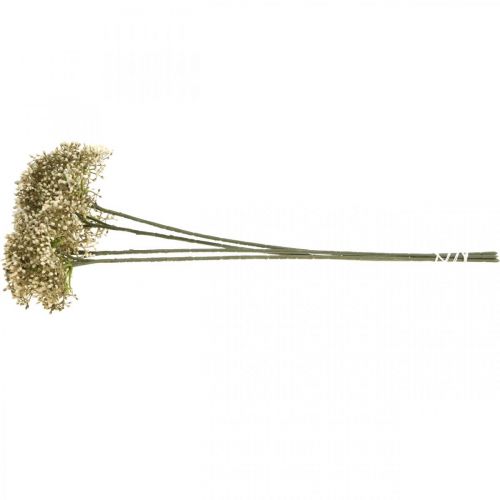 Floristik24 Artificial elderberry cream white decorative blossom branch 52cm 4pcs