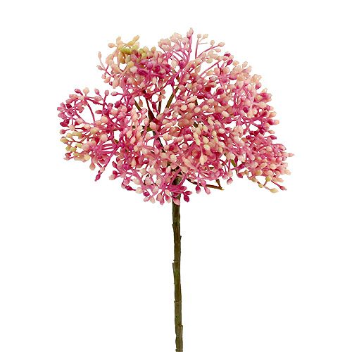 Floristik24 Elderflower branch pink-white L 55cm 4pcs