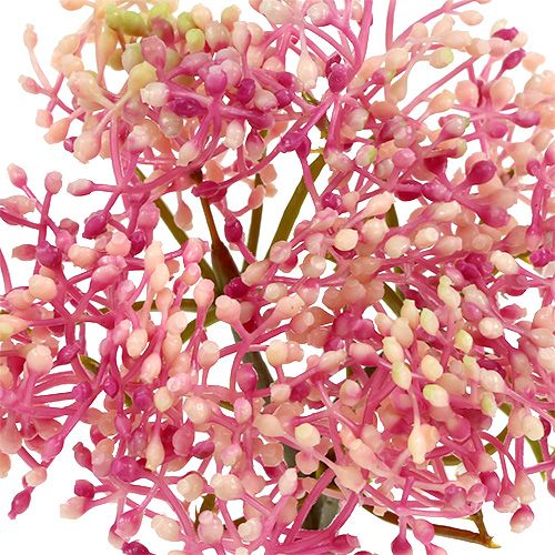 Product Elderflower branch pink-white L 55cm 4pcs