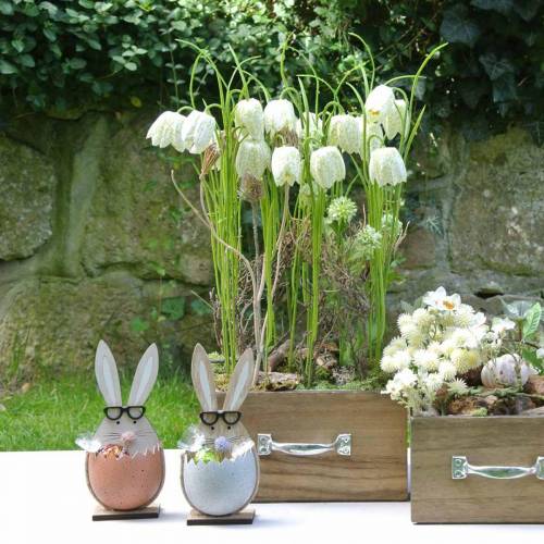 Wooden rabbit in an egg, spring decoration, rabbits with glasses, Easter bunnies 3pcs