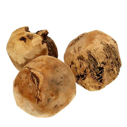 Floristik24 Wooden Ball Fir Ball Nature Ø9cm 3pcs