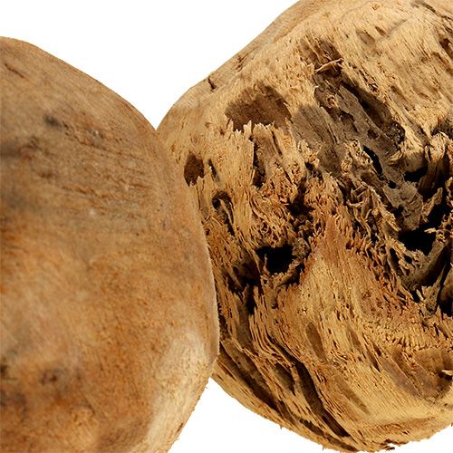 Floristik24 Wooden ball fir ball natural Ø9cm 3 pcs