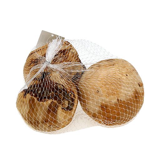 Floristik24 Wooden ball fir ball natural Ø9cm 3 pcs