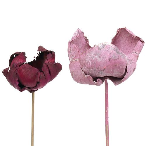 Floristik24 Wooden flower, palm cup mix pink-erika 25 pcs