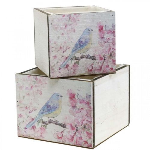 Floristik24 Plant boxes with bird print, planter, spring, decorative box for planting, vintage look L17/15cm H13/11cm set of 2