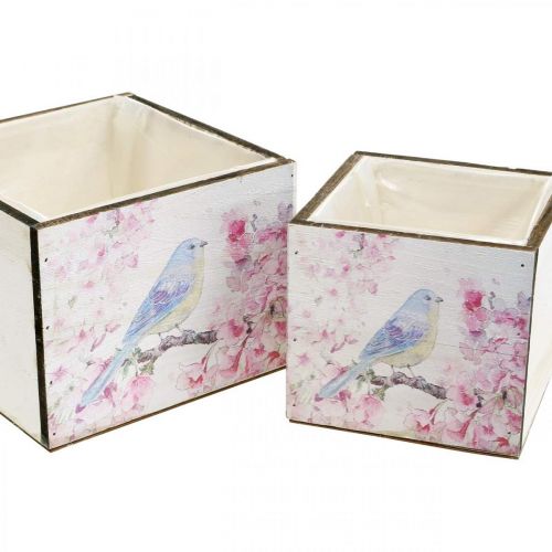 Floristik24 Plant boxes with bird print, planter, spring, decorative box for planting, vintage look L17/15cm H13/11cm set of 2