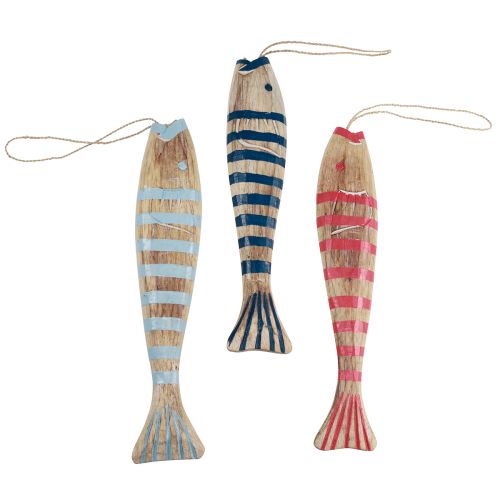 Floristik24 Wooden fish for hanging fish decoration wood 29cm colored 3 pieces