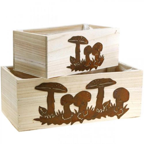 Floristik24 Plant box set, wooden boxes with mushrooms, autumn decoration, stainless steel L40 / 30cm, set of 2