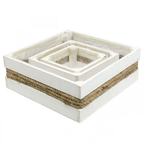 Product Plant box wood white with rope box for planting 15/20/30cm set of 3