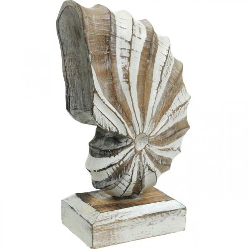 Floristik24 Maritime deco wooden conch shell stand nature, white H28cm