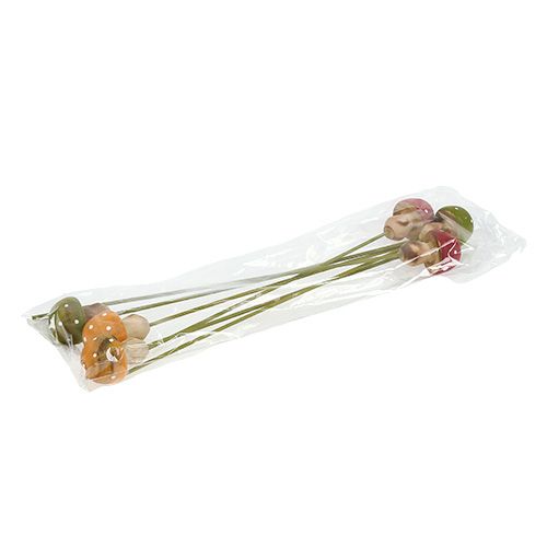 Floristik24 Wooden mushroom on the stick colorful assorted. 4cm 6pcs