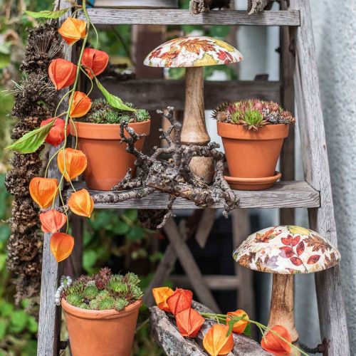 Floristik24 Wooden mushroom deco autumn leaves white, colorful autumn decoration Ø13cm H19cm