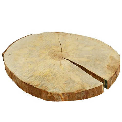 Floristik24 Wood disc natural 25cm - 30cm