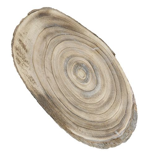 Floristik24 Oval wooden disc 30cm - 40cm burnt