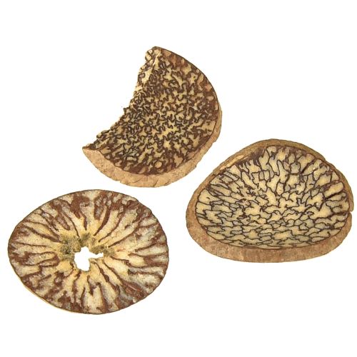Product Wooden discs decorative betel nut slices areca 1-3.5cm 300g