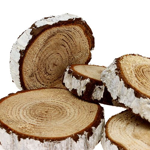 Floristik24 Wood slices fir optics 3-7.5cm 500g