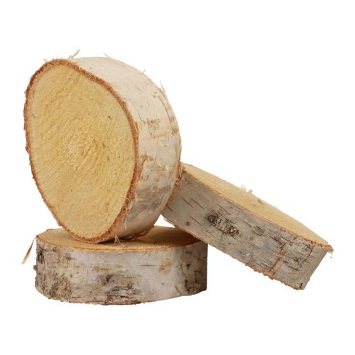 Product Wooden discs decoration birch wood natural bark Ø7-9cm 18 pcs