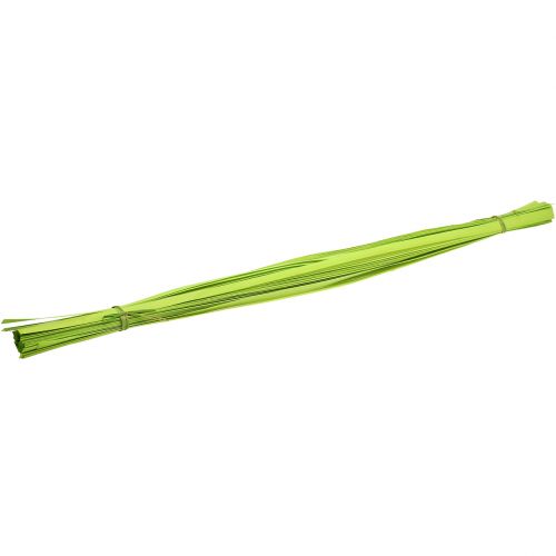 Floristik24 Wooden strips spring green 95cm - 100cm 50 pcs