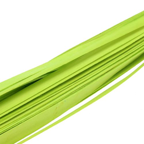 Floristik24 Wooden strips spring green 95cm - 100cm 50 pcs