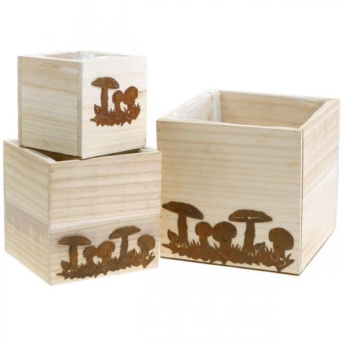 Floristik24 Plant cubes, flower box, autumn decoration with patina 20/16/12cm set of 3