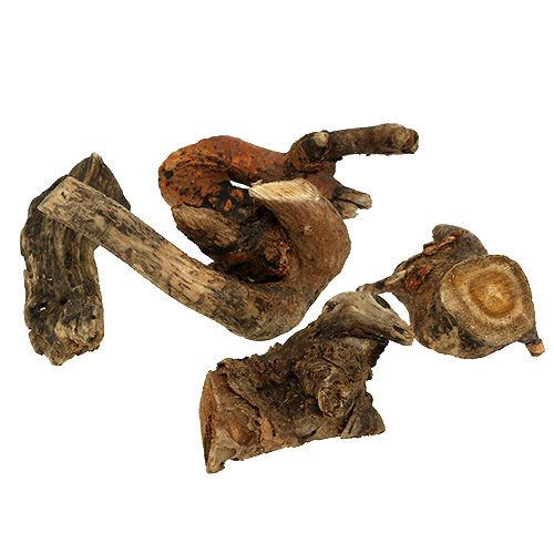 Floristik24 Wood root nature 6cm-13cm 500g