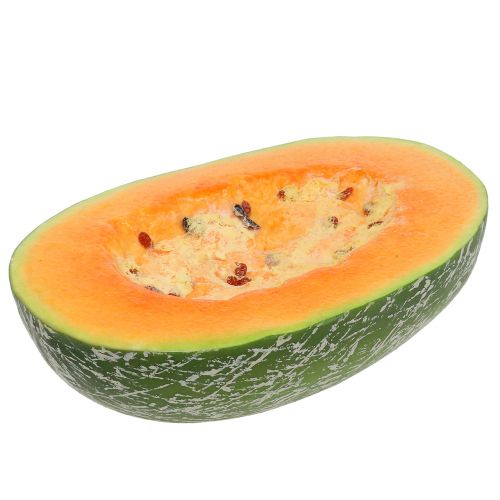 Floristik24 Honeydew melon half 22.5cm light orange