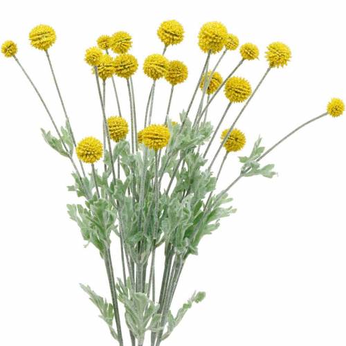 Floristik24 Drumstick Yellow Artificial Craspedia Silk Flowers