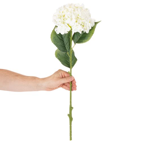 Artificial Hydrangea Long Stem 60cm Cream White | Floristik24.co.uk