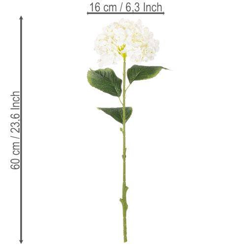 Artificial Hydrangea Long Stem 60cm Cream White | Floristik24.co.uk
