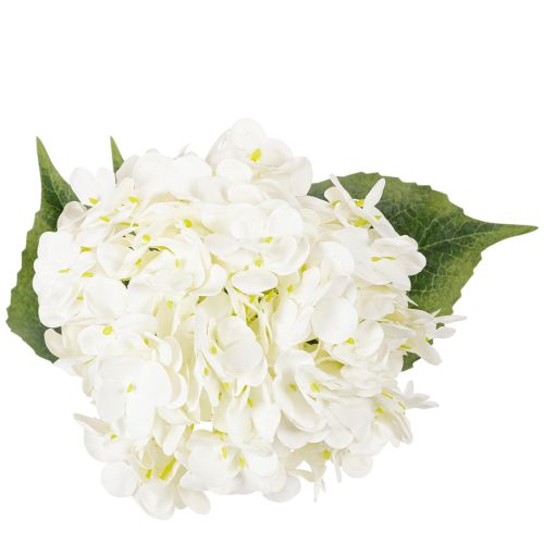 Artificial Hydrangea Long Stem 60cm Cream White | Floristik24.co.uk