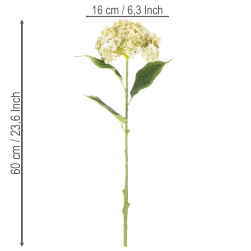 Artificial Hydrangea Flower with Long Stem and Green Leaves 60cm | Floristik24.co.uk