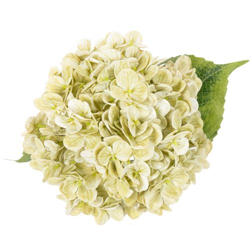Artificial Hydrangea Flower with Long Stem and Green Leaves 60cm | Floristik24.co.uk