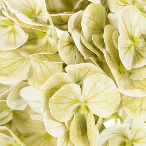 Artificial Hydrangea Flower with Long Stem and Green Leaves 60cm | Floristik24.co.uk
