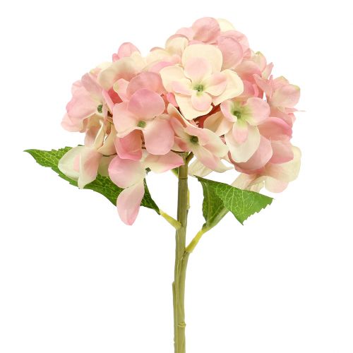 Floristik24 Hydrangea pink, cream 36cm