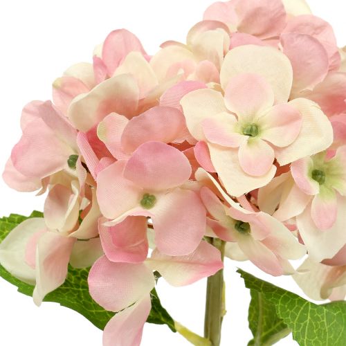 Product Hydrangea pink, cream 36cm