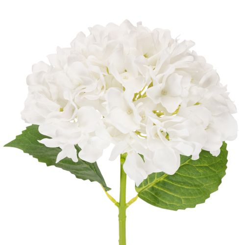 Artificial Hydrangea with Long Stem for Decoration, White, 48cm buy online | Floristik24.co.uk