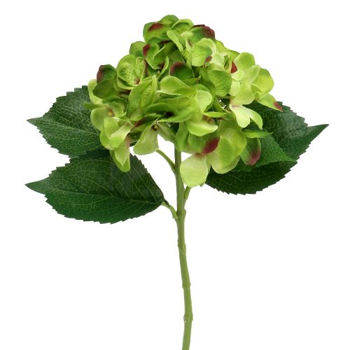 Floristik24 Hydrangea green artificial for decoration L54cm