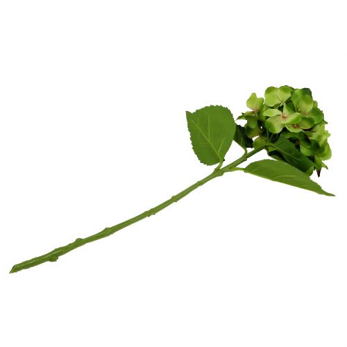 Floristik24 Hydrangea green artificial for decoration L54cm
