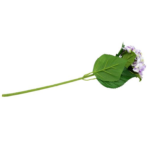 Floristik24 Hydrangea purple-white 60cm