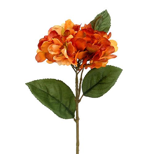 Floristik24 Hydrangea orange 30cm 3pcs