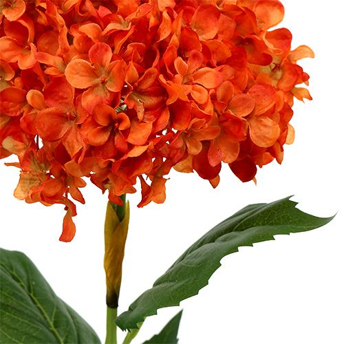 Floristik24 Hydrangea Orange 80cm 1pc
